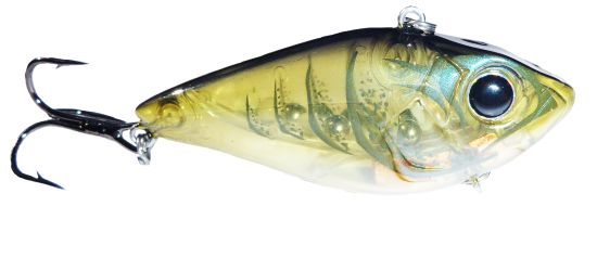 Pic: Mick Fletoridis